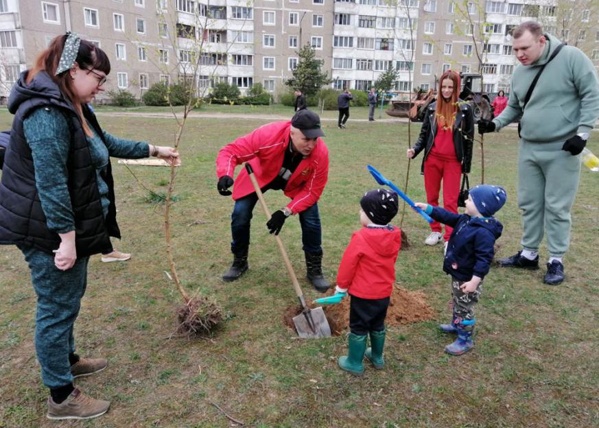 В Могилеве продолжается весеннее благоустройство: 30 марта - общегородской субботник