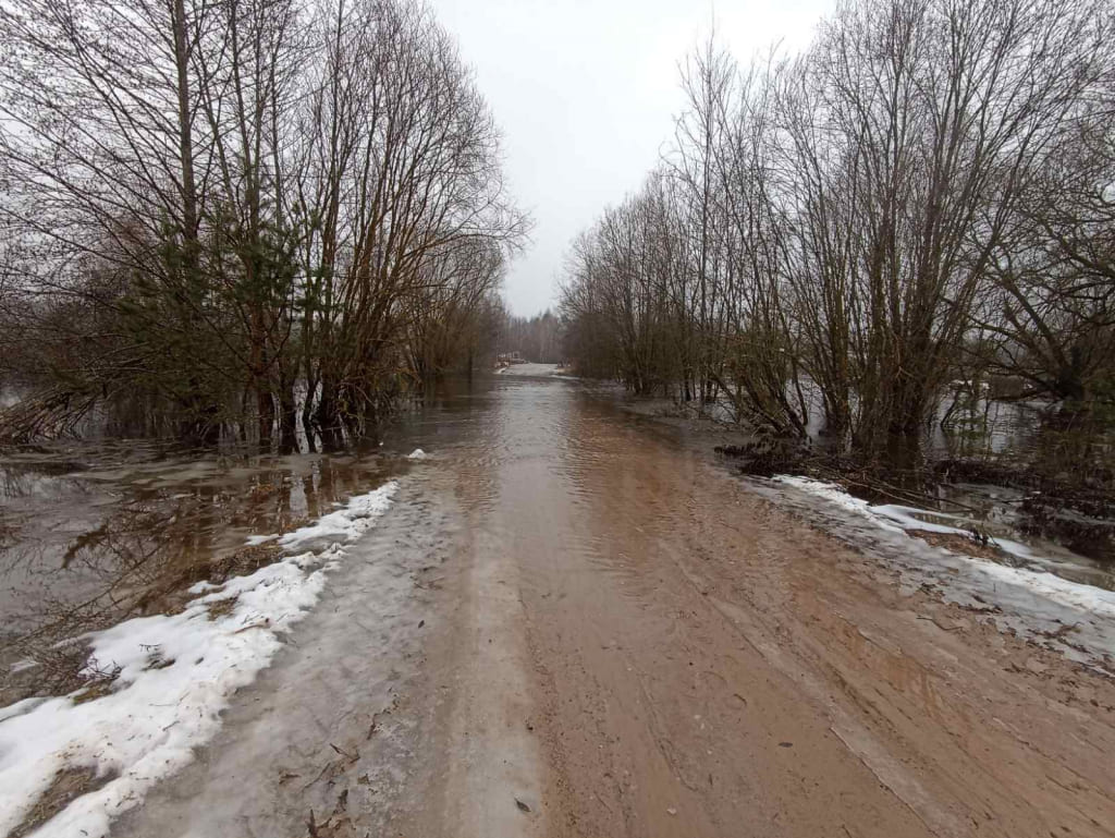 Подтопление участка дороги произошло в Белыничском районе