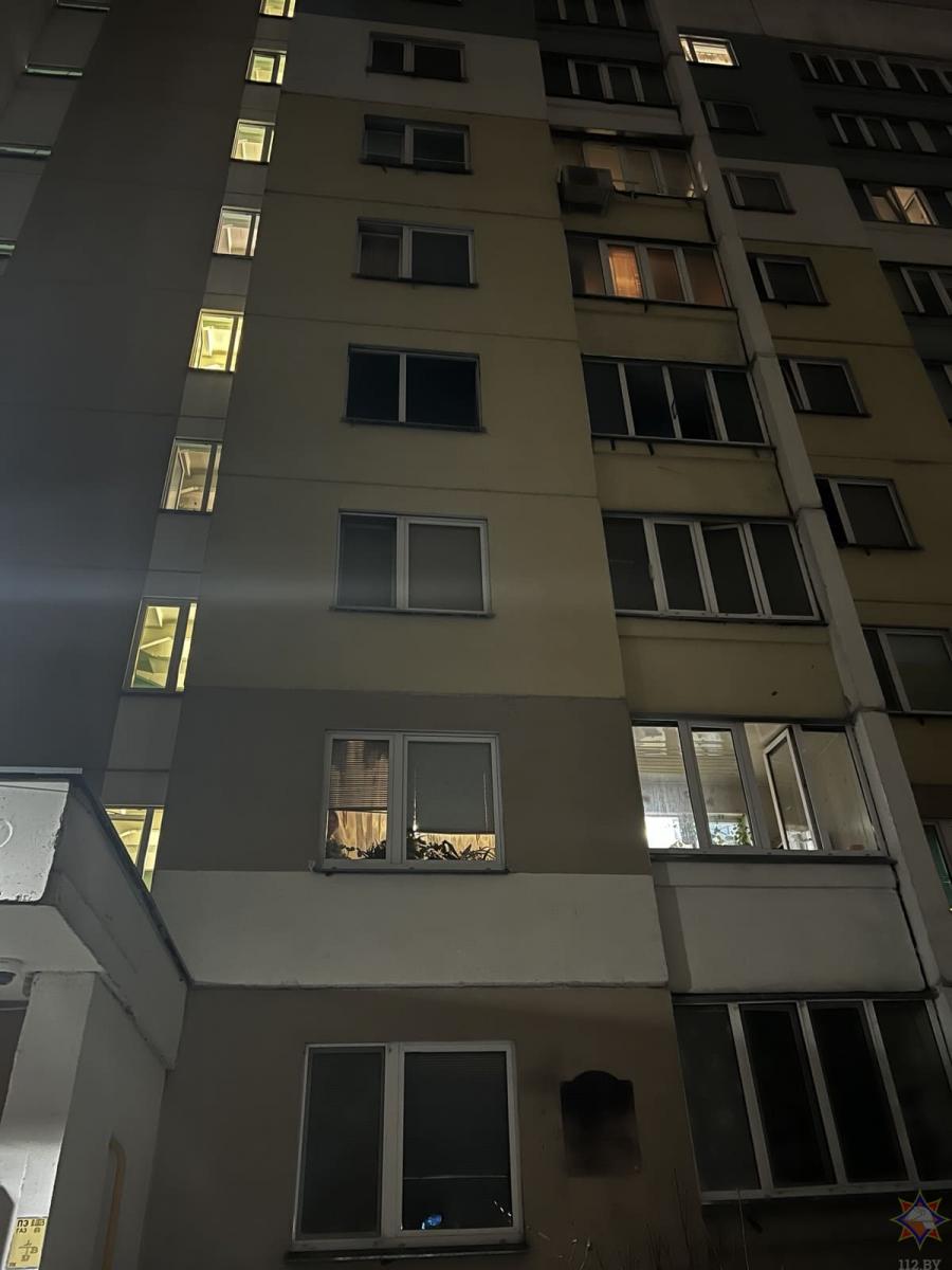 Муж и жена пострадали на пожаре в Бобруйске