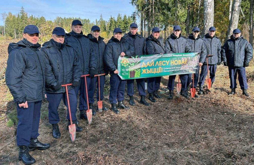 Более трех тысяч саженцев деревьев высадили прокуроры Могилевщины в рамках  республиканской акции «Дай лесу новае жыццё!»