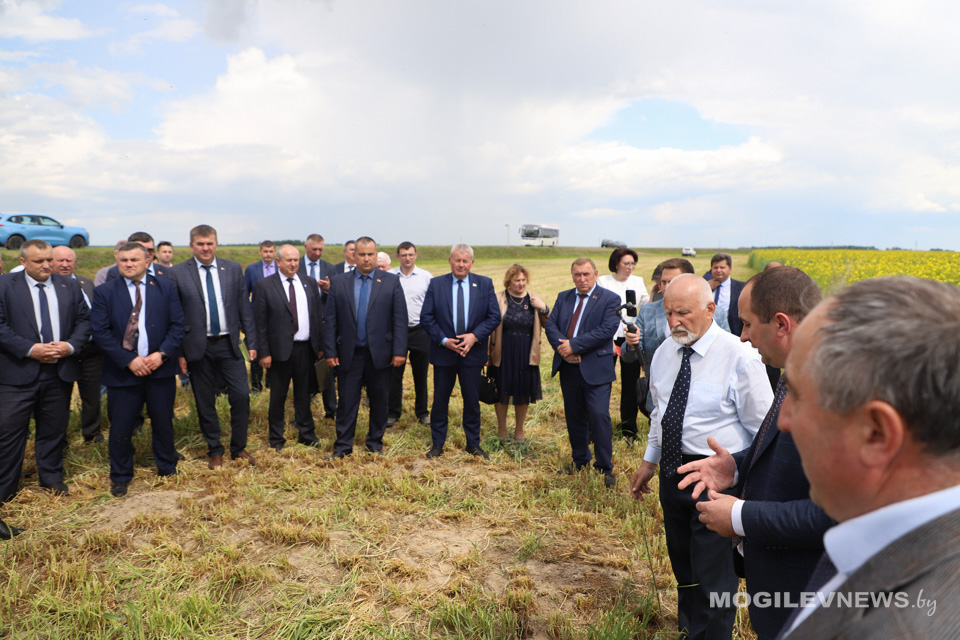 Областной семинар по заготовке травяных кормов в сельскохозяйственных организациях Могилевской области проходит в Кировском районе. Фото