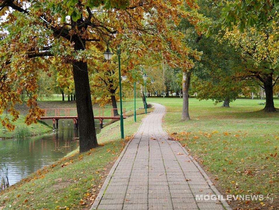 ФОТОФАКТ: яркие краски осени на Буйничском поле