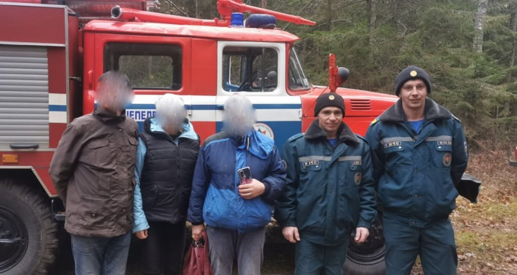 Трое пенсионеров потерялись в лесу: на помощь пришли спасатели