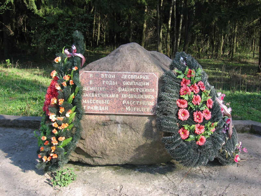 Поисковый клуб «Виккру» провел разведывательную экспедицию в лесопарковой зоне по ул. Ровчакова в Могилеве