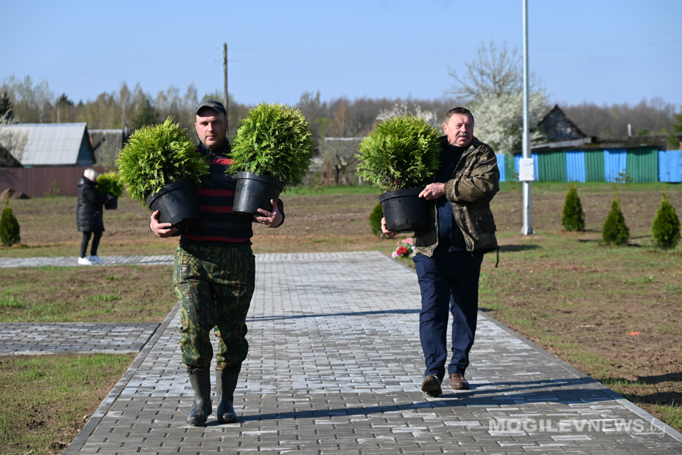 Республиканский субботник в Чаусах: в память о прошлом - с заботой о будущем! Фото