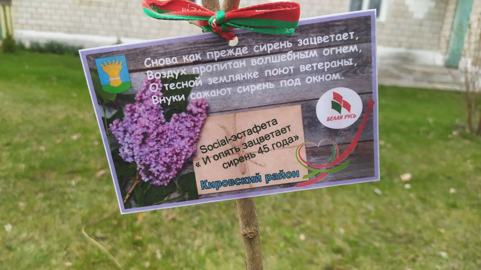 Кличевская районная организация РОО "Белая Русь" проводит акцию "И опять зацветает сирень 45-го". Фото