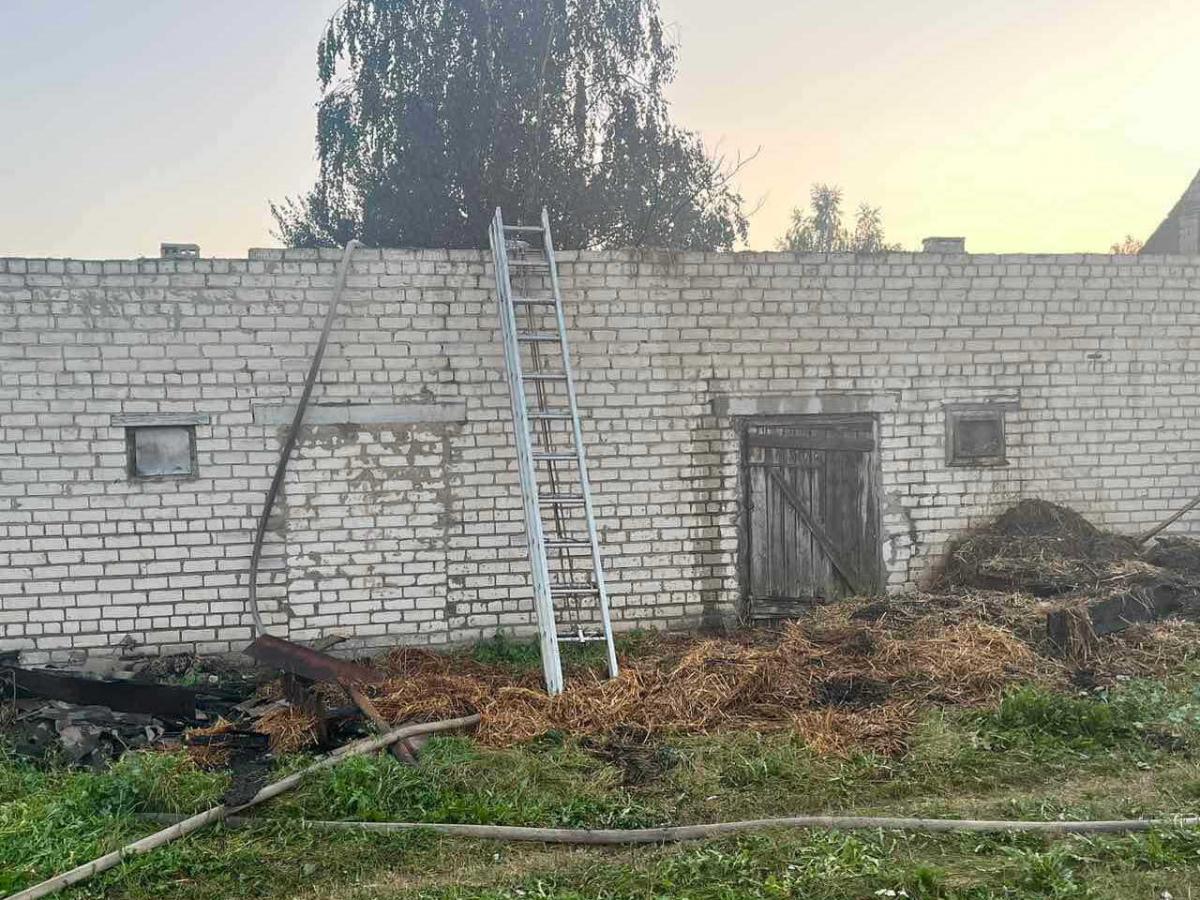 В Дрибинском районе детская игра со спичками привела к пожару