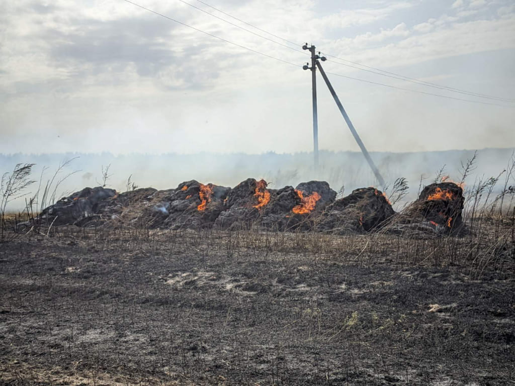 50 тюков соломы уничтожил пожар в Быховском районе