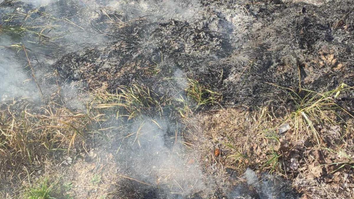 97-летняя могилевчанка пострадала, пытаясь потушить горящую траву