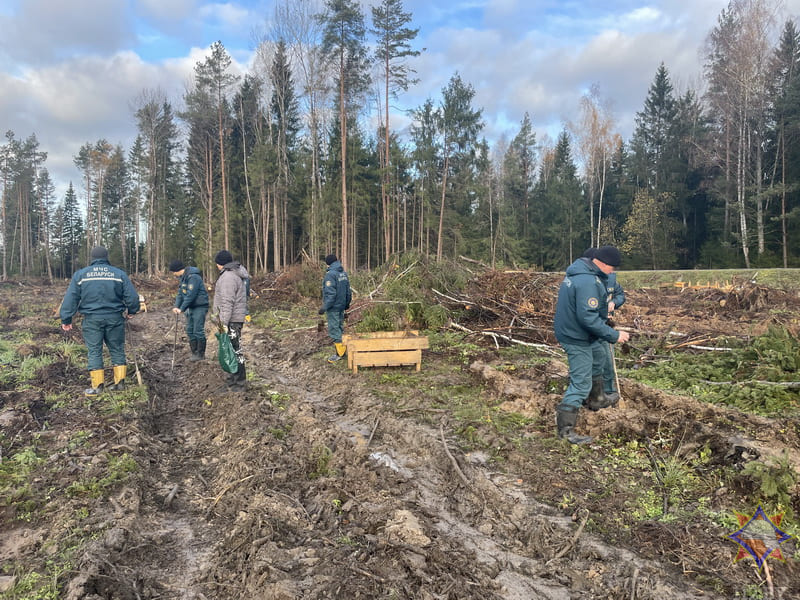 Чериковские спасатели приняли участие в акции «Дай лесу новае жыццё!»