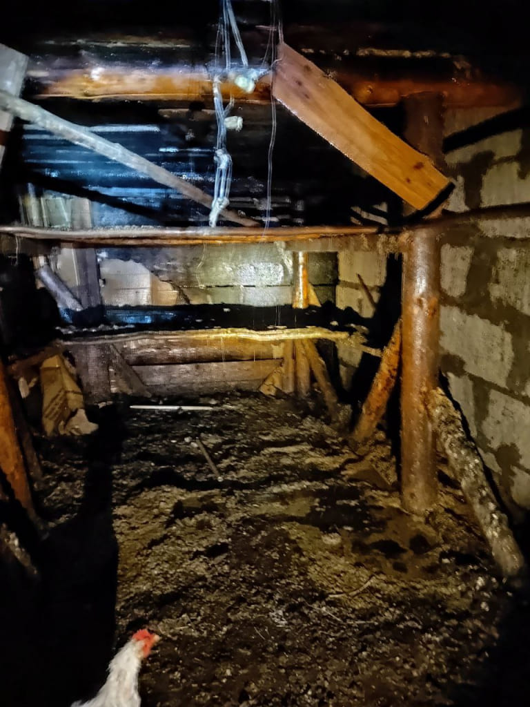 Пожар в Чаусском районе тушили спасатели