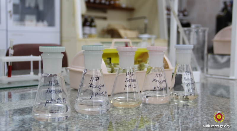 165 человек погибли от острого отравления различными спиртами в 2023 году в Могилевской области