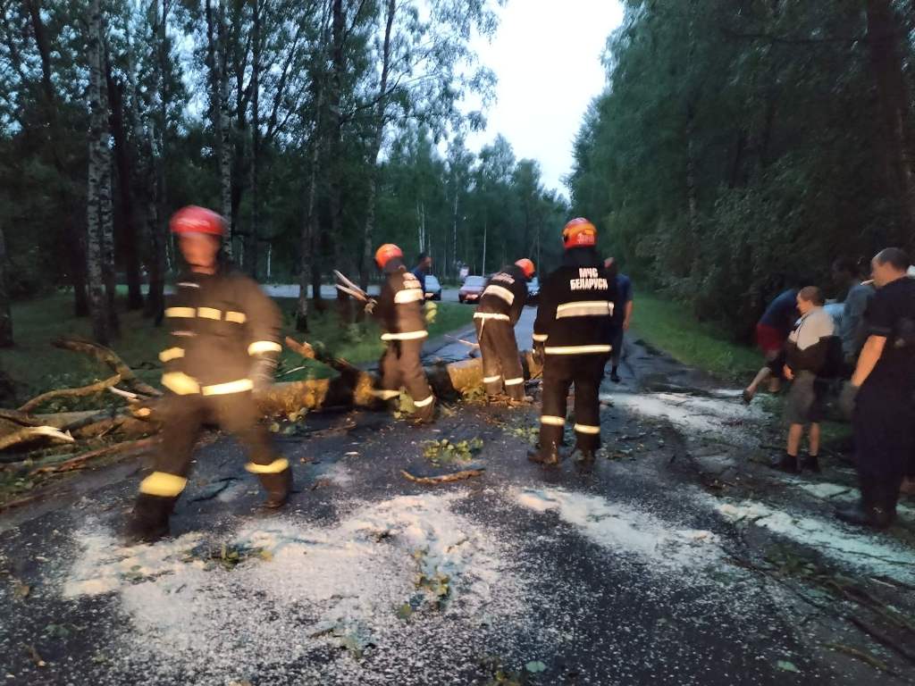 Последствия непогоды в Могилевской области