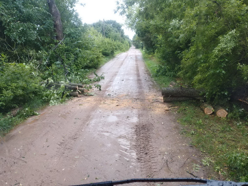 В Могилевской области спасатели совершили 18 выездов на уборку деревьев