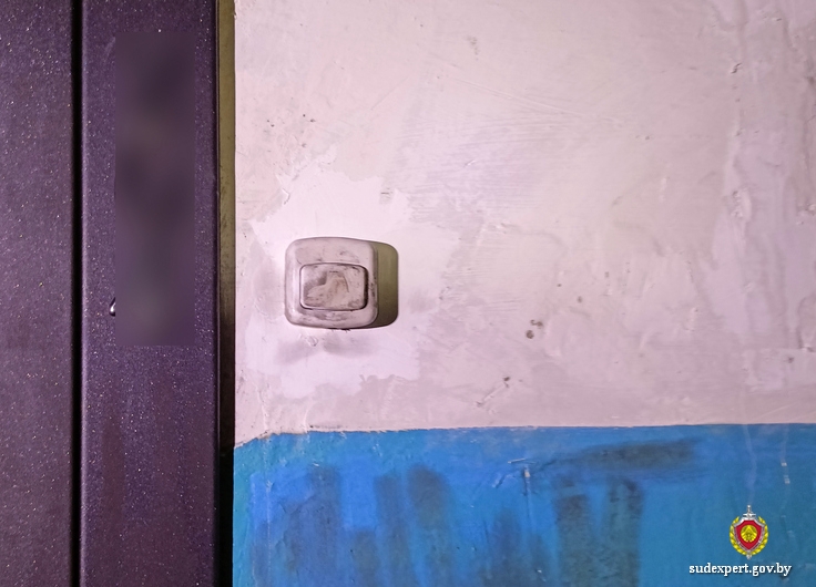 На кнопке дверного звонка эксперт изъял след пальца курьера телефонных мошенников