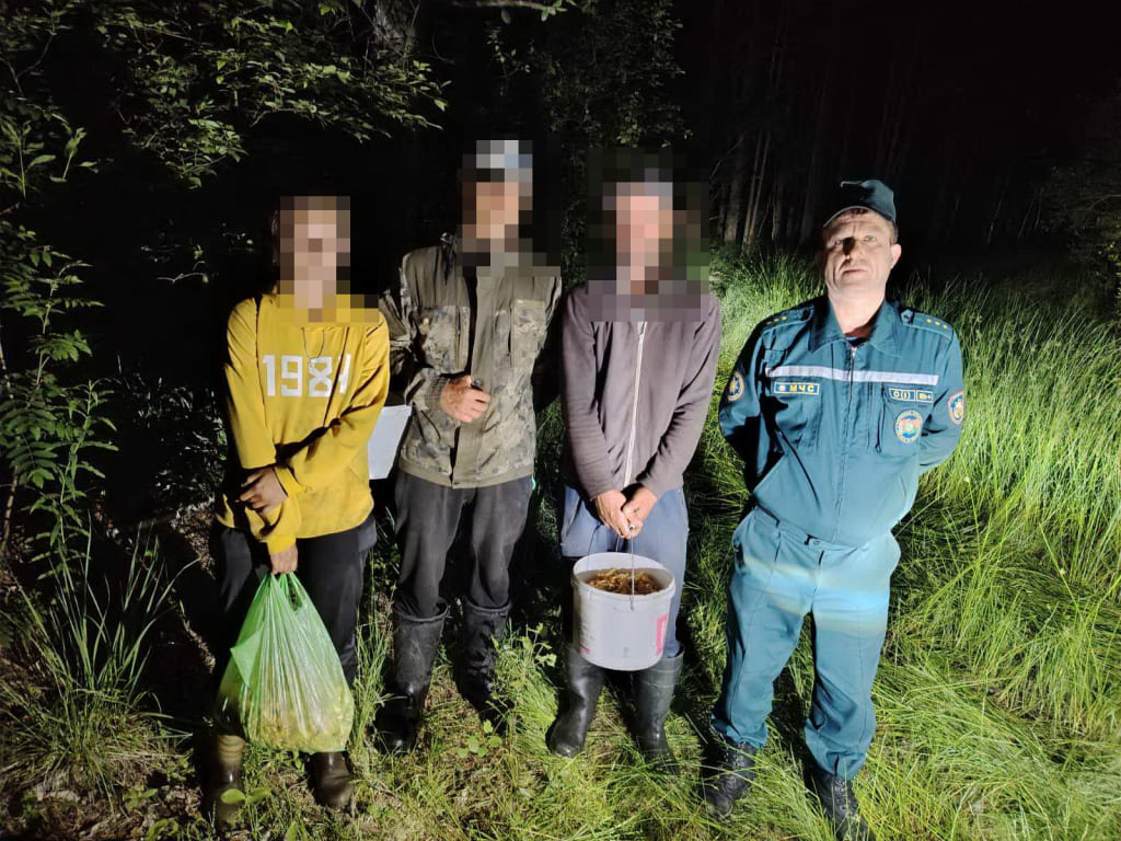 В Бобруйском районе искали троих грибников