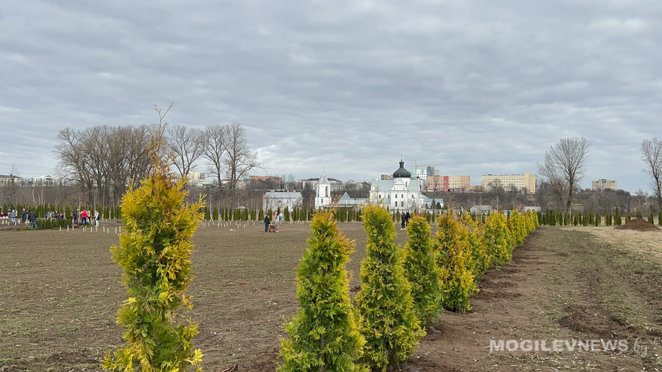 Снег, мокрый снег, дождь и не выше +8°С ожидается в Могилевской области 4 апреля
