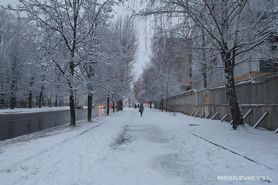 Ночью до -12°С, днем - около 0°С ожидается в начале следующей недели в Могилевской области