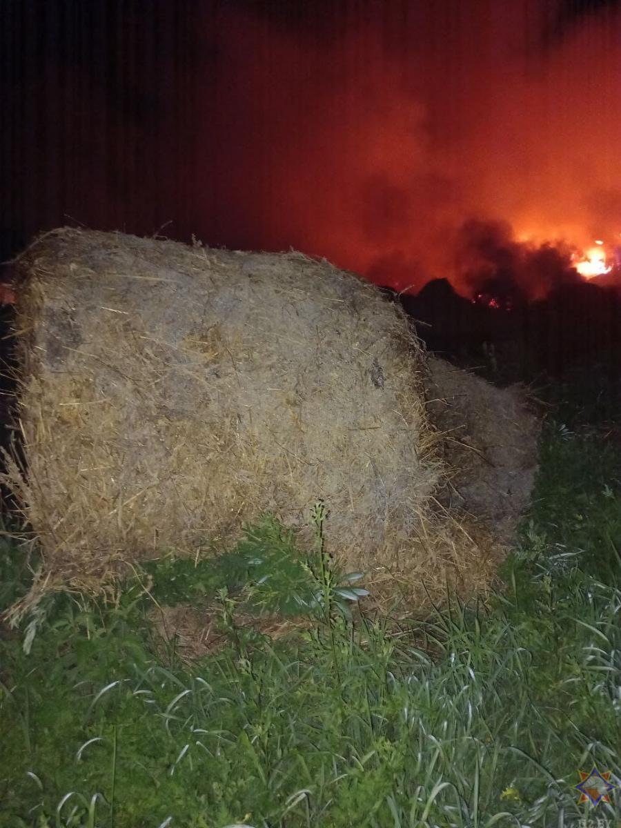20 тонн соломы сгорели в Горецком районе - подростки поджигали петарды