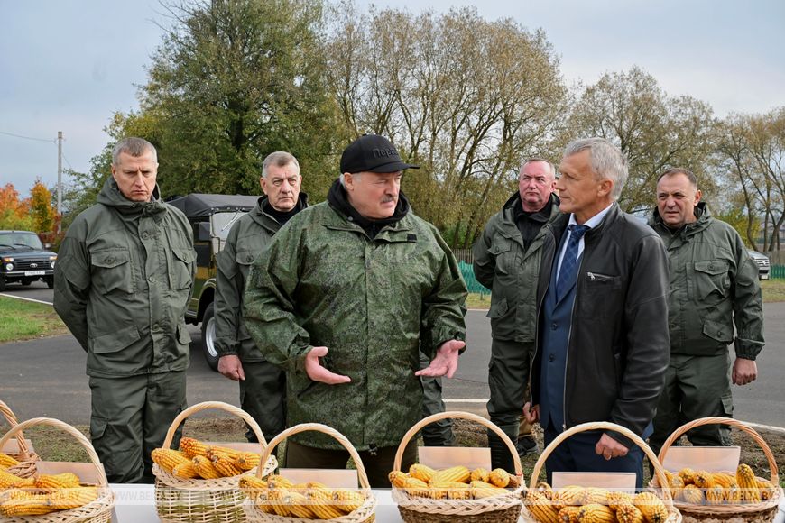 Лукашенко поручил сделать Шкловский район образцовым, как «мини-Беларусь»
