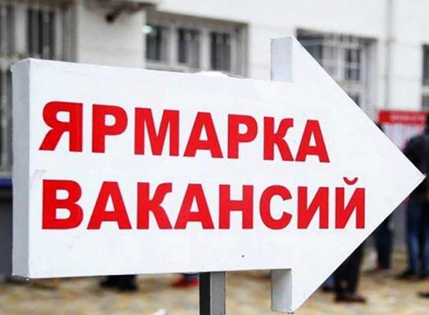 Ярмарка вакансий пройдет в Могилеве 11 июля