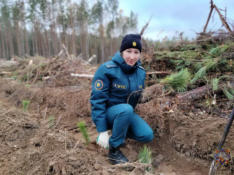 Чаусские спасатели приняли участие в акции «Дай лесу новае жыццё!»