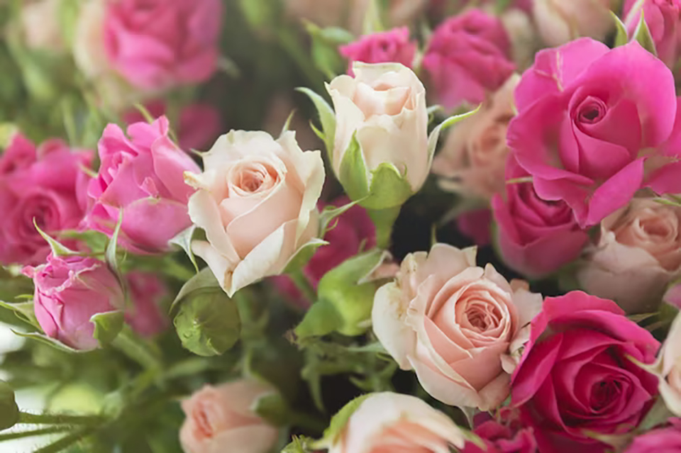 Поздравление с Днем работников леса