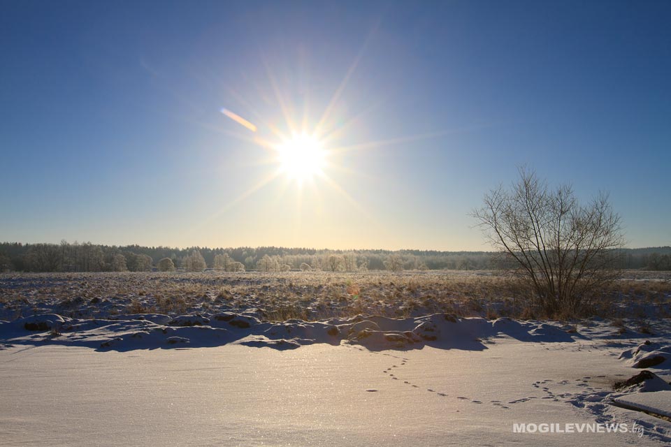 До -25°С опустится температура воздуха местами в Могилевской области 8 января