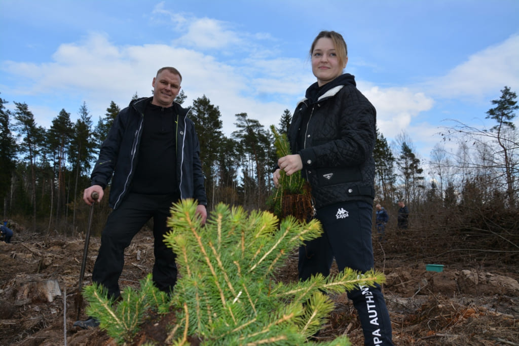 Могилевские спасатели высадили более 5 тысяч саженцев