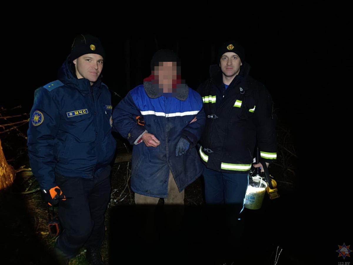 Шесть часов в лесу Могилевского района блуждал пенсионер: пошел за грибами и заблудился