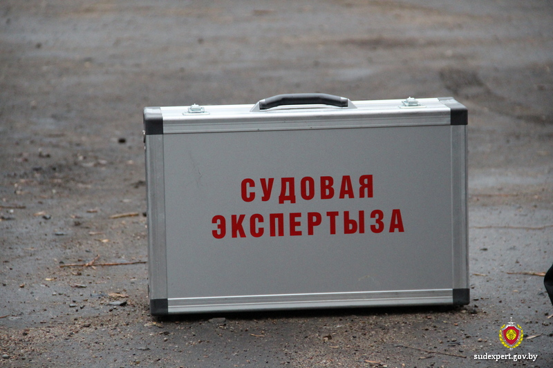 Из-за падения снега с крыши могилевчанка получила тяжкие телесные повреждения