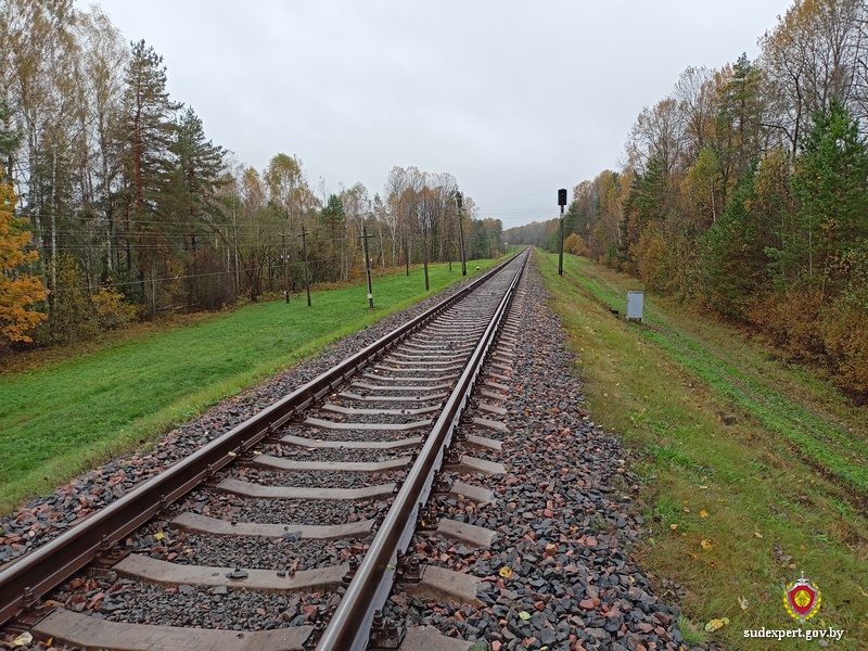 Охотник стрелял в косулю, а попал в релейный шкаф