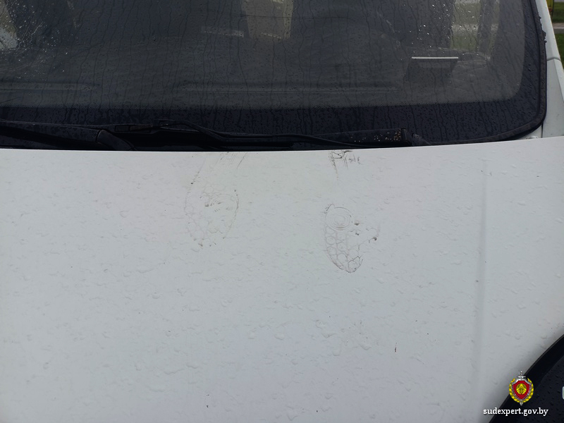 18-летний могилевчанин похищал деньги из автомобилей, припаркованных около жилых домов в Могилеве