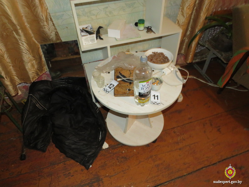 Генетическая экспертиза доказала причастность жителя Климовичского района к убийству сожительницы