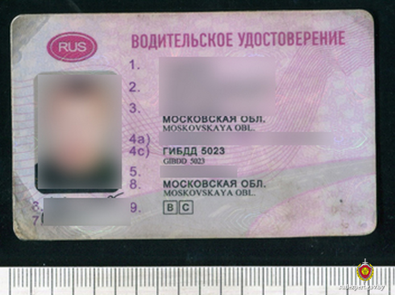 Жители Белыничей подозреваются в сбыте поддельных денег