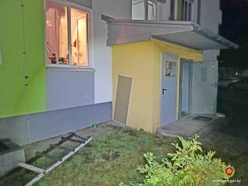 Уроженец Гомельской области обворовывал квартиры в Черикове