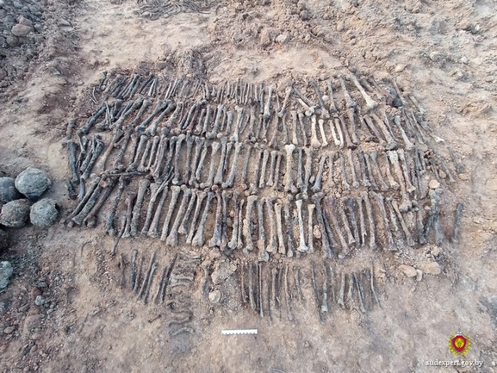 Костные останки, обнаруженные при проведении ремонтных работ в Могилеве, исследовали судебные эксперты