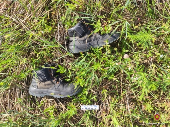 Благодаря генетической экспертизе установлена личность умершего, чьи останки обнаружены в поле Костюковичского района