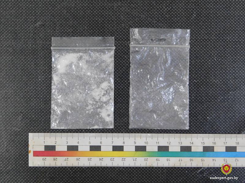 Молодые люди, прятавшие психотропы в гараже и автомобиле, задержаны в Могилеве