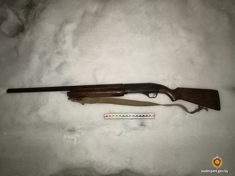 Мужчина незаконно добыл благородного оленя в Шкловском районе, чем причинил вред  природе на Br48 тыс.