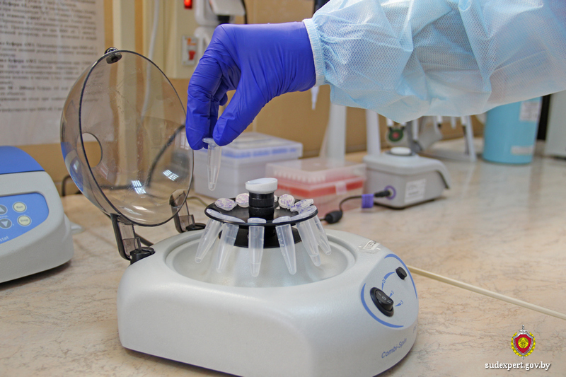 Судьбу жителя Витебской области, считавшегося пропавшим без вести 25 лет назад, помогли  выяснить могилевские эксперты