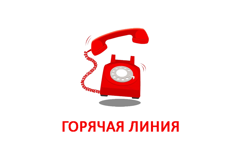 "Горячую линию" в период приема документов от абитуриентов-целевиков откроет КГК с 27 июня