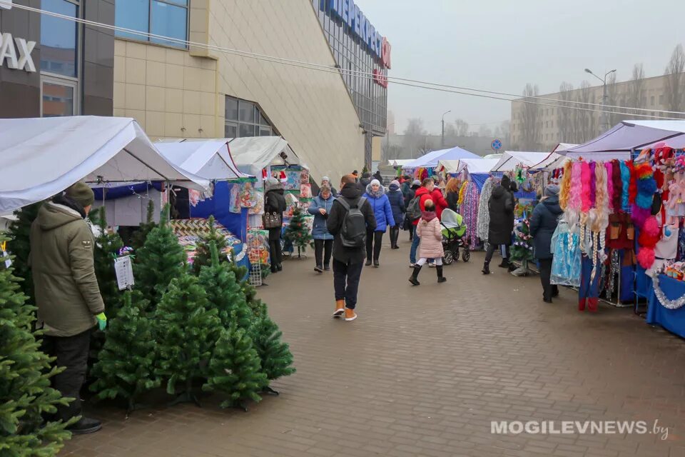 Преимущественно без осадков и до +5°С днем ожидается в Могилевской области 2 декабря