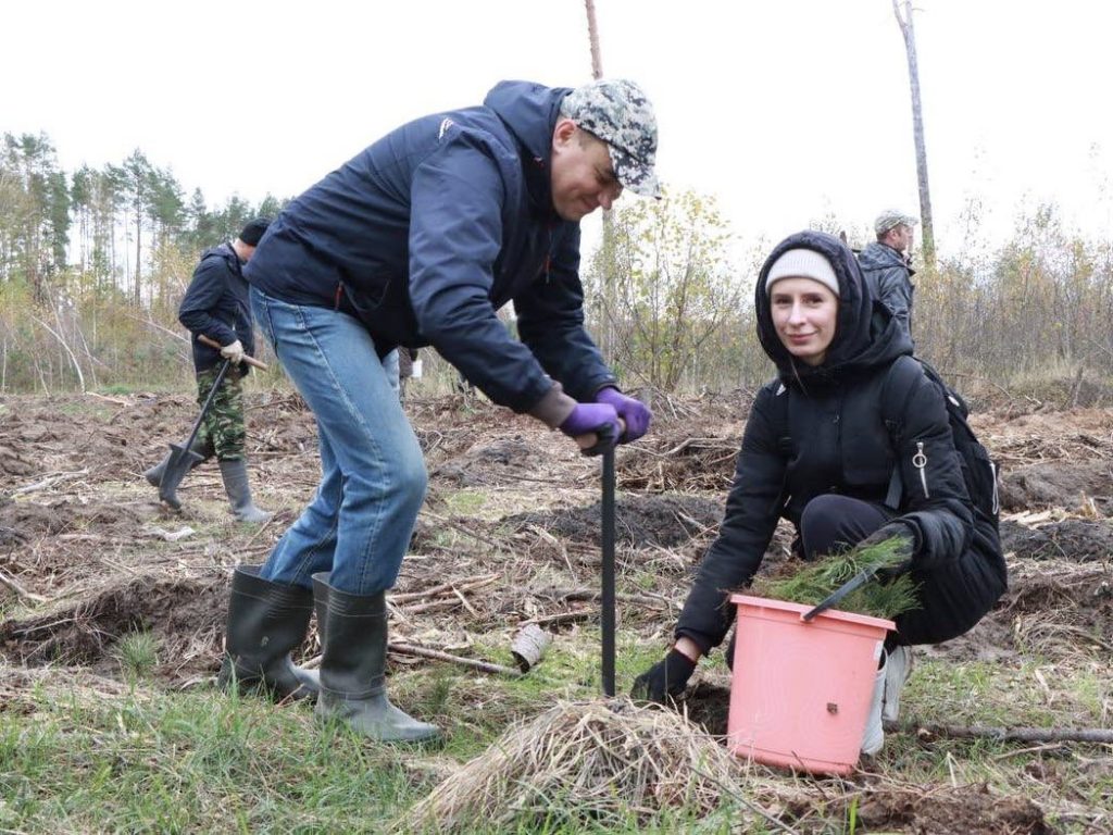 Акция «Дай лесу новае жыццё!». 5 тысяч саженцев высадили в Быховском районе