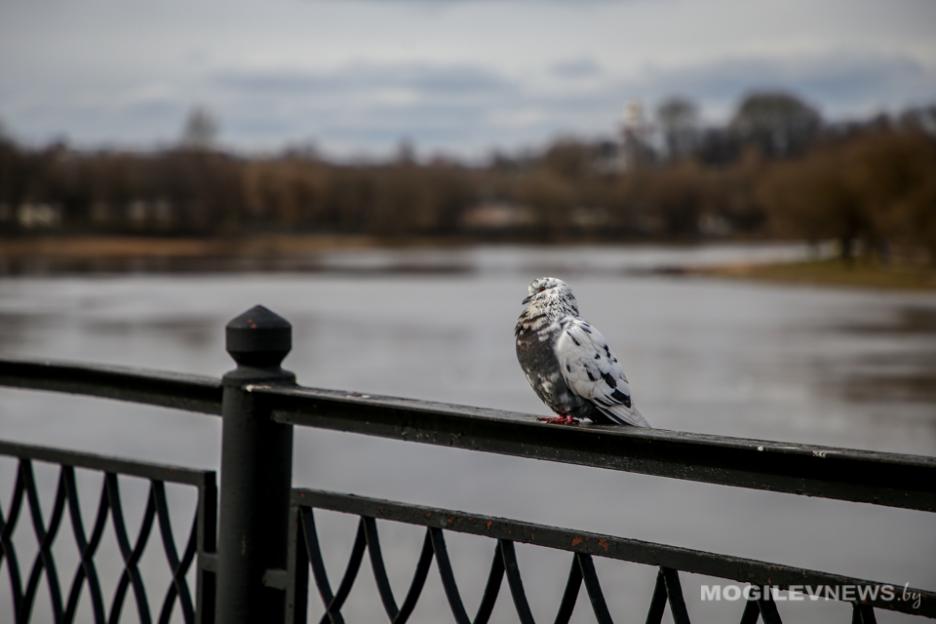 Погода на выходные: до +14°С, в воскресенье - кратковременные дожди