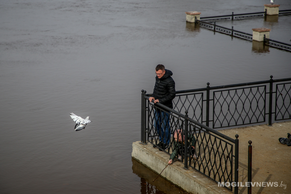 Погода на выходные: кратковременные осадки, в воскресенье – порывистый ветер