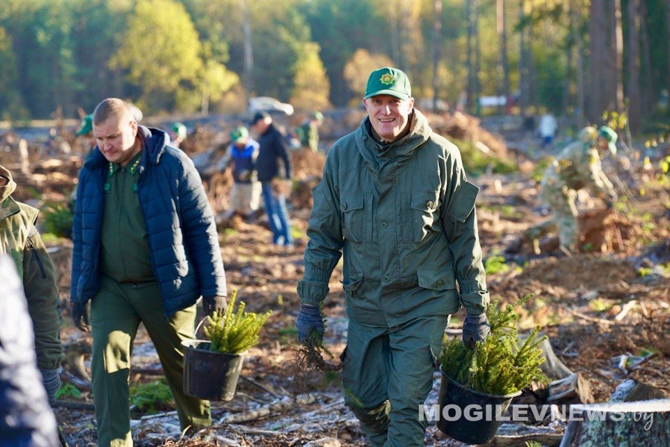 «Дай лесу новае жыццё!». Республиканская добровольная акция проходит в Могилевской области. ФОТО