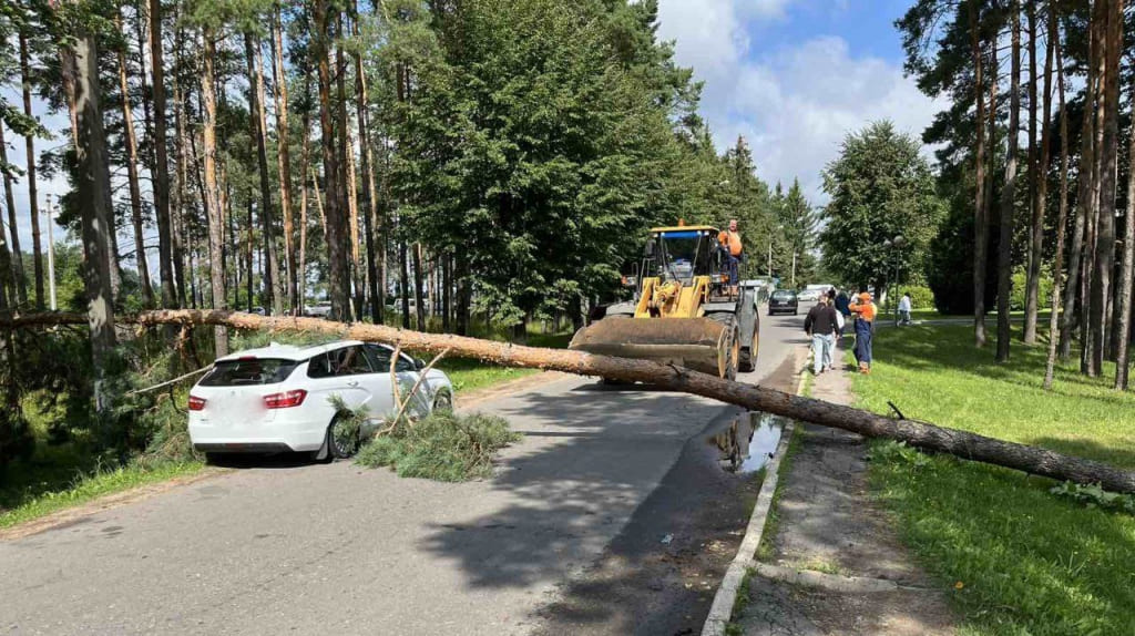 Спасатели оказывают помощь в ликвидации последствий непогоды