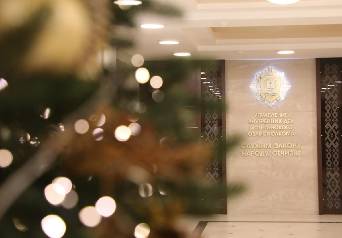 На Рождество контроль за общественным порядком на территории Могилёвской области будет усилен