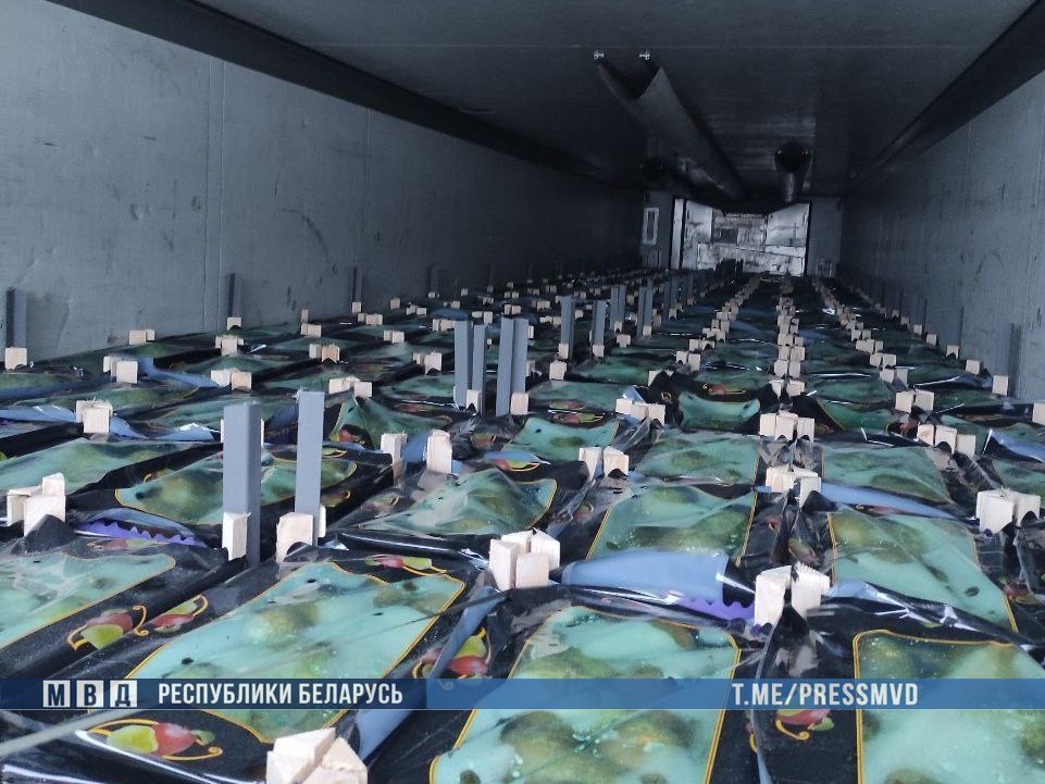 В Хотимском районе задержаны фуры, нелегально перевозившие 40 тонн фруктов